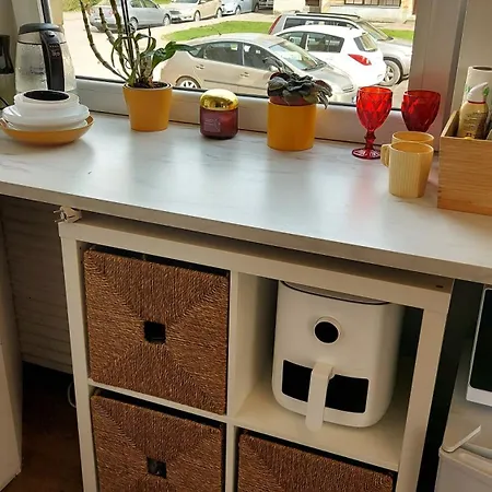 Mini With Separate Entrance Apartment Palanga