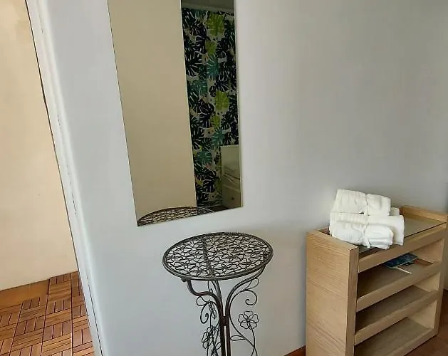 Mini With Separate Entrance Apartment *