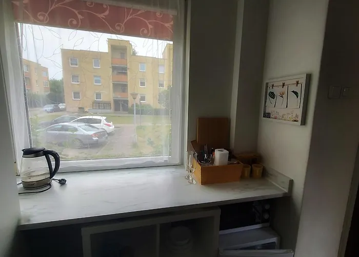 Mini With Separate Entrance